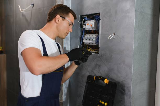 Best Electrical Upgrades for Homes  in Meadow Oaks, FL