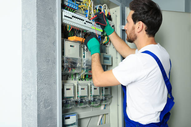 Best Local Electrician Companies  in Meadow Oaks, FL